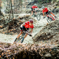 Bike - Park / MTB XCO